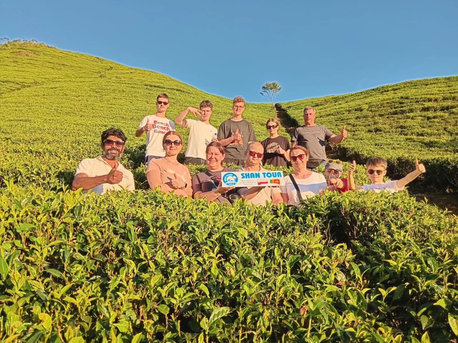 A Shan Tours group among the tea bushes of the hill country