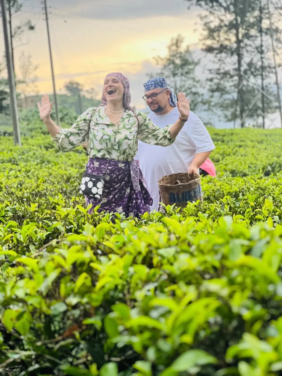 A couple in a tea estate at sunset with a picking basket