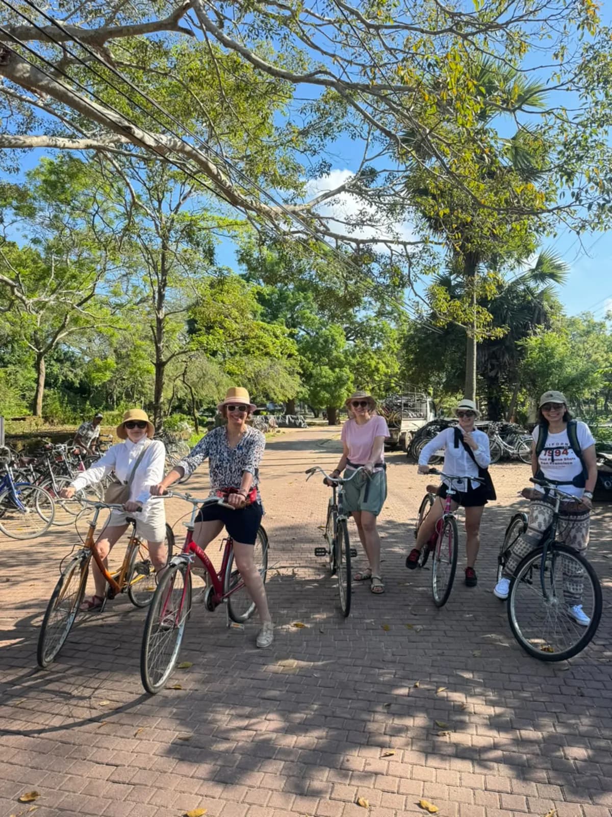 Travellers on a village cycling tour, resting under the trees